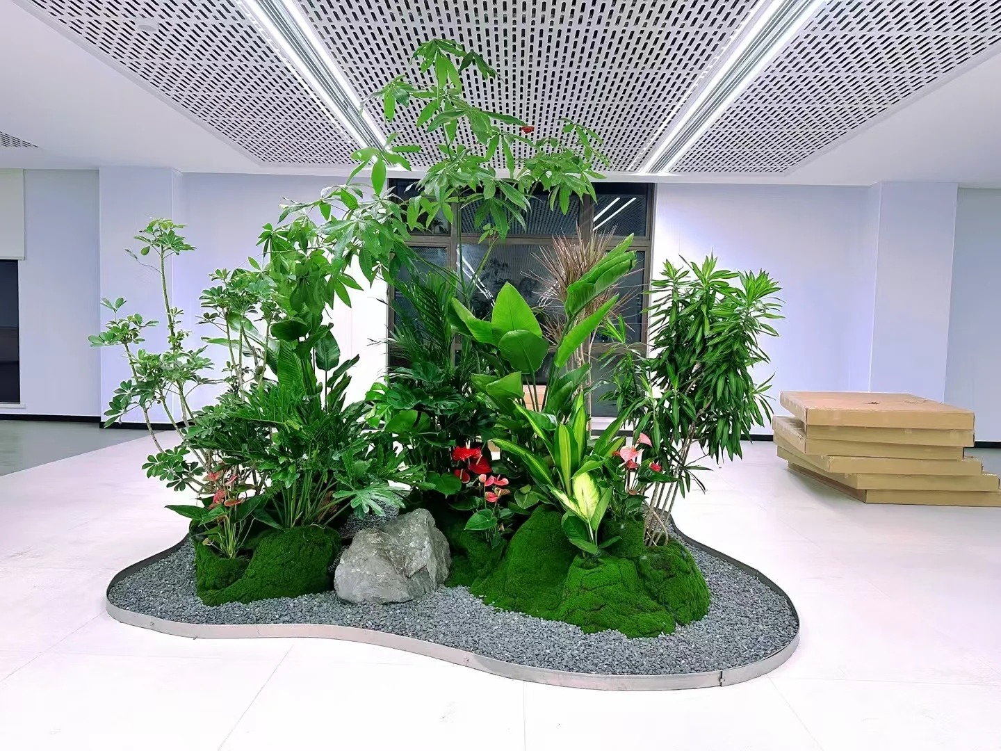 专业植物租赁，让前湾生活绿意盎然